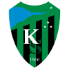 https://img.cnyungu.com/img/football/team/8dfbbd630a401d819054748332f33849.png